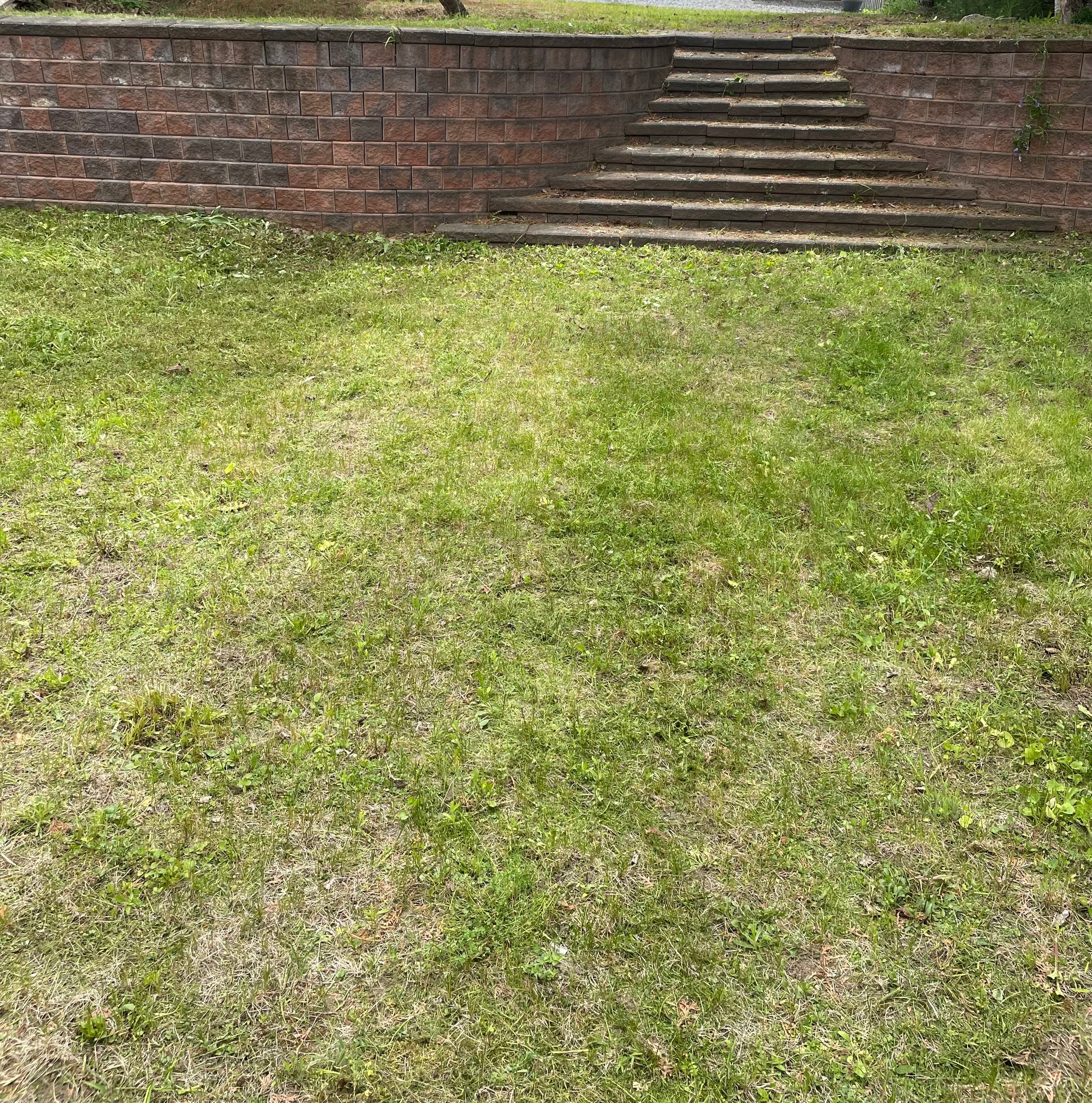 Yardwork
